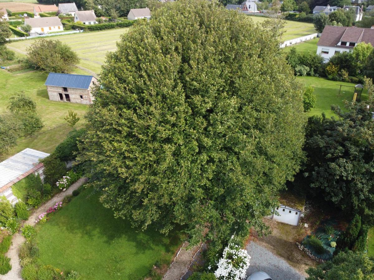 Criquebeuf-en-Caux La Nouvelle Criqueboise Bed & Breakfast エクステリア 写真
