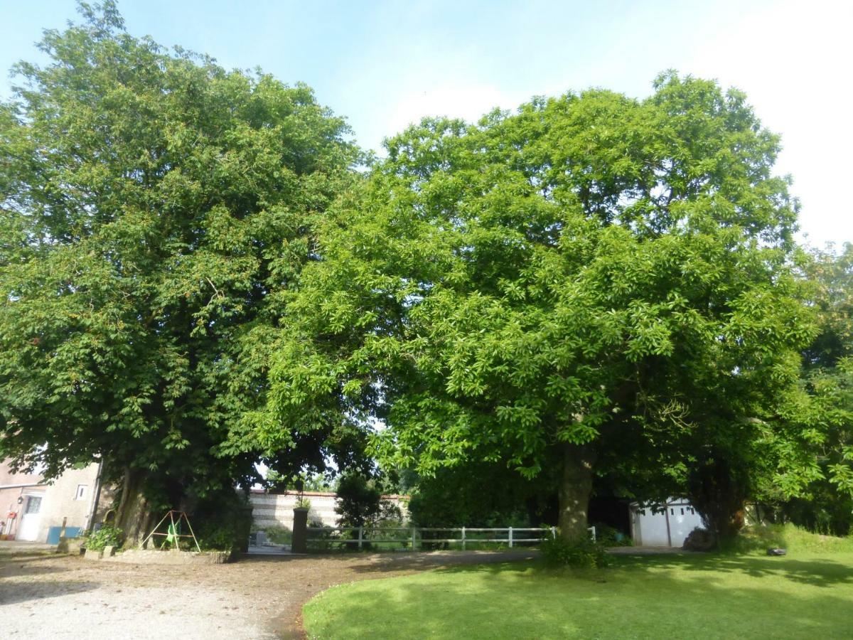Criquebeuf-en-Caux La Nouvelle Criqueboise Bed & Breakfast エクステリア 写真