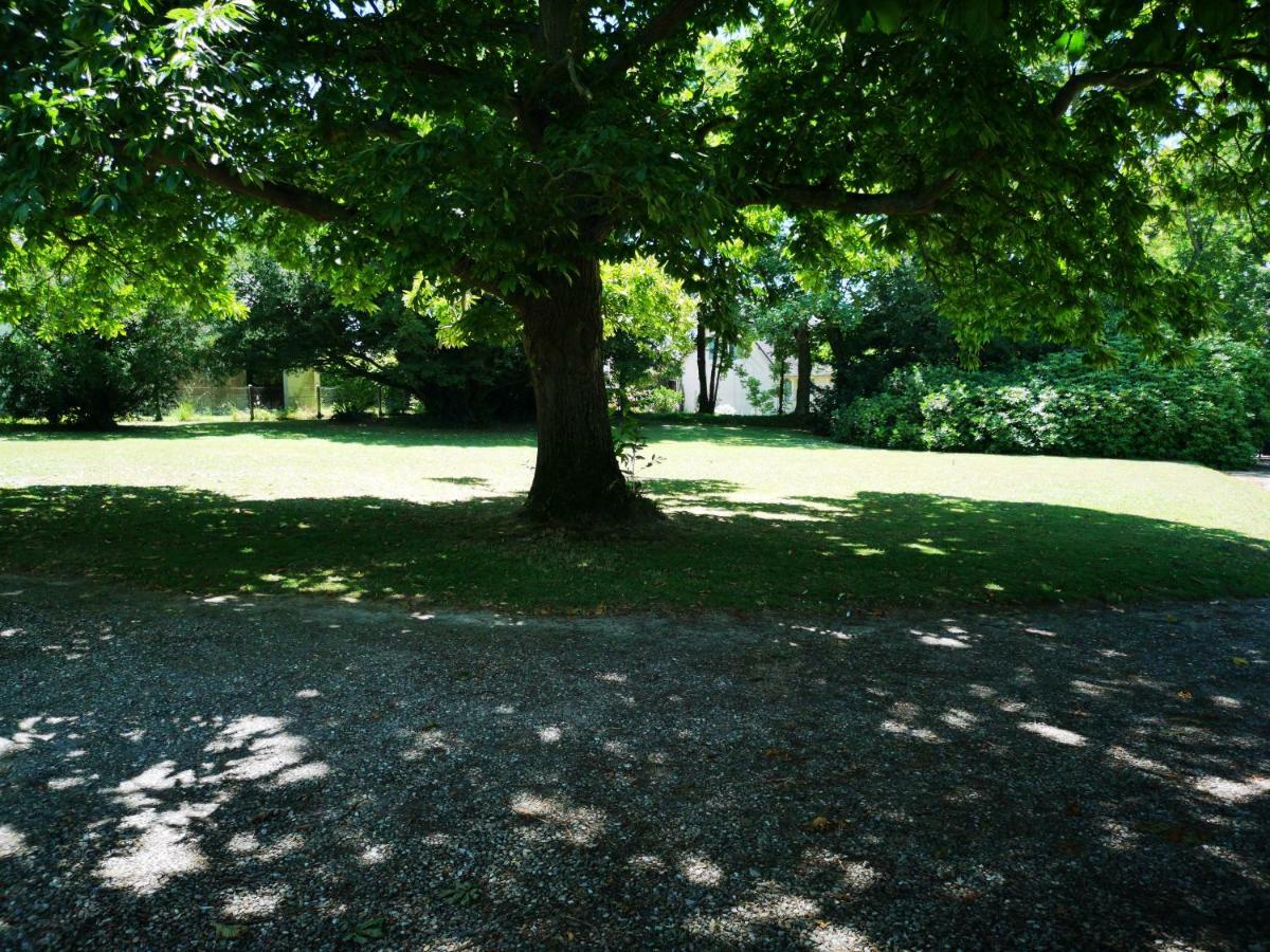 Criquebeuf-en-Caux La Nouvelle Criqueboise Bed & Breakfast エクステリア 写真