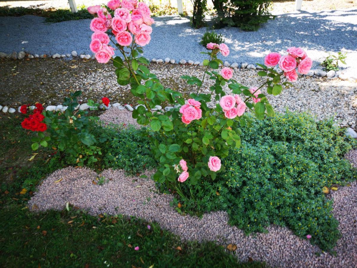 Criquebeuf-en-Caux La Nouvelle Criqueboise Bed & Breakfast エクステリア 写真